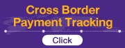 SCB Cross Border Payment Tracking